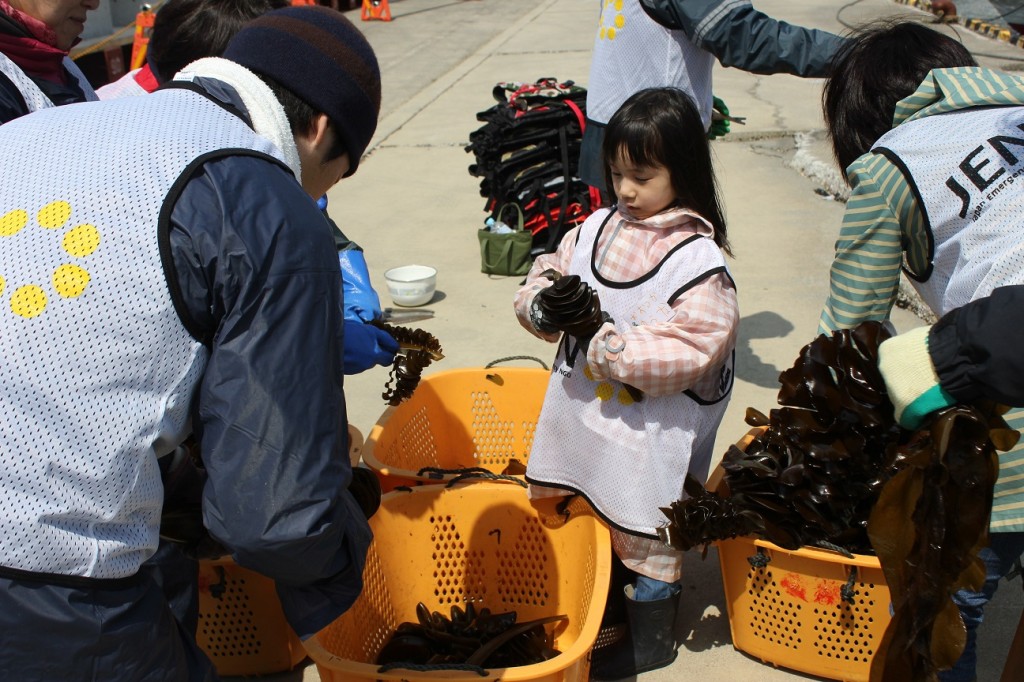 東北―浜へ行こう　ワカメ